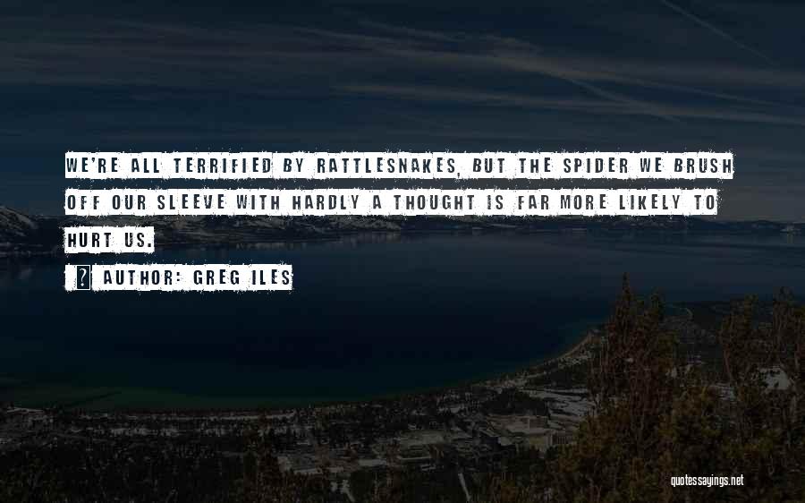 Greg Iles Quotes: We're All Terrified By Rattlesnakes, But The Spider We Brush Off Our Sleeve With Hardly A Thought Is Far More