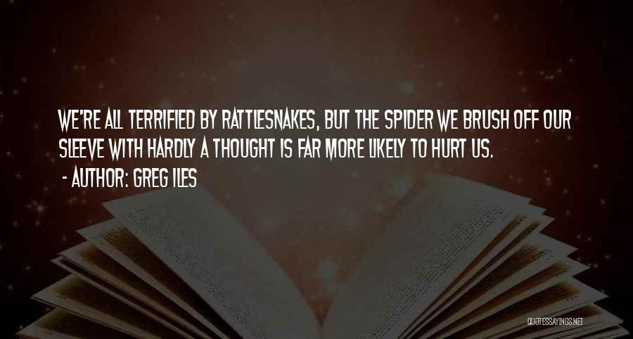 Greg Iles Quotes: We're All Terrified By Rattlesnakes, But The Spider We Brush Off Our Sleeve With Hardly A Thought Is Far More