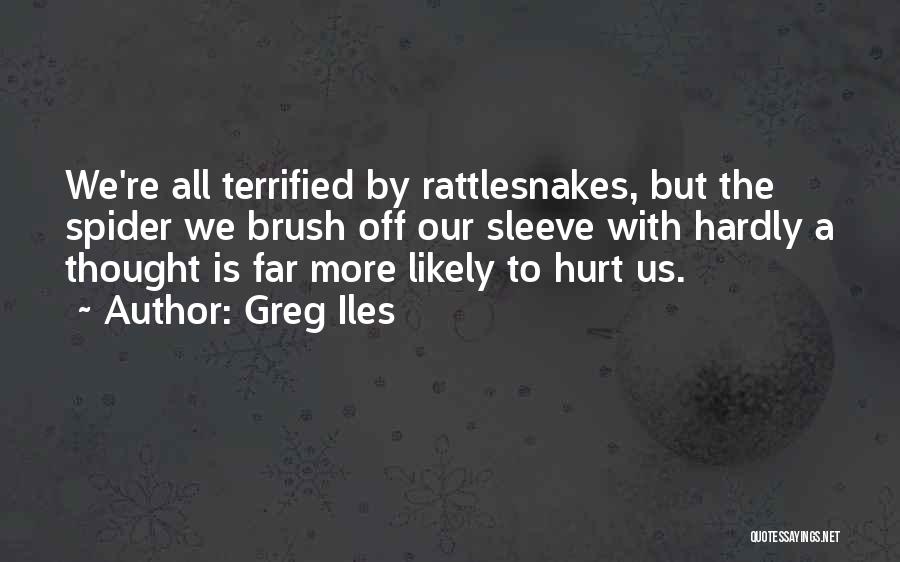 Greg Iles Quotes: We're All Terrified By Rattlesnakes, But The Spider We Brush Off Our Sleeve With Hardly A Thought Is Far More