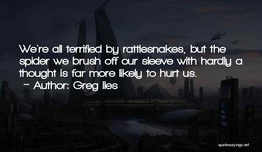 Greg Iles Quotes: We're All Terrified By Rattlesnakes, But The Spider We Brush Off Our Sleeve With Hardly A Thought Is Far More