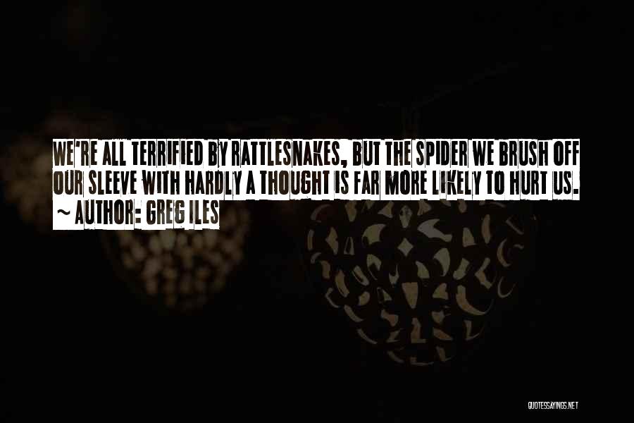 Greg Iles Quotes: We're All Terrified By Rattlesnakes, But The Spider We Brush Off Our Sleeve With Hardly A Thought Is Far More