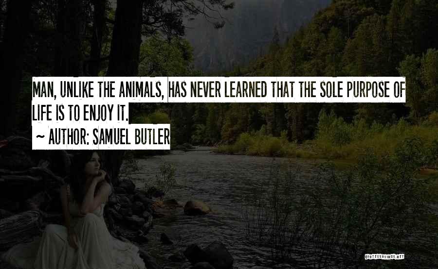 Samuel Butler Quotes: Man, Unlike The Animals, Has Never Learned That The Sole Purpose Of Life Is To Enjoy It.