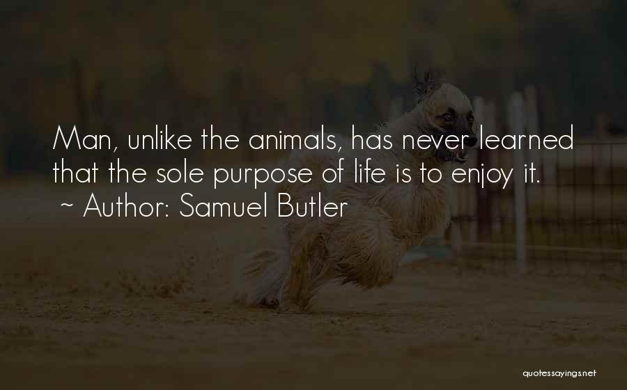 Samuel Butler Quotes: Man, Unlike The Animals, Has Never Learned That The Sole Purpose Of Life Is To Enjoy It.