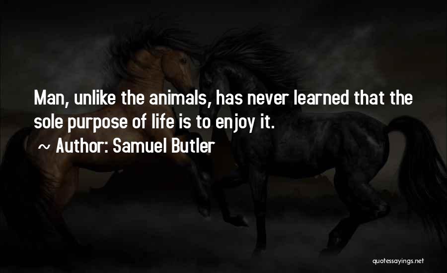 Samuel Butler Quotes: Man, Unlike The Animals, Has Never Learned That The Sole Purpose Of Life Is To Enjoy It.