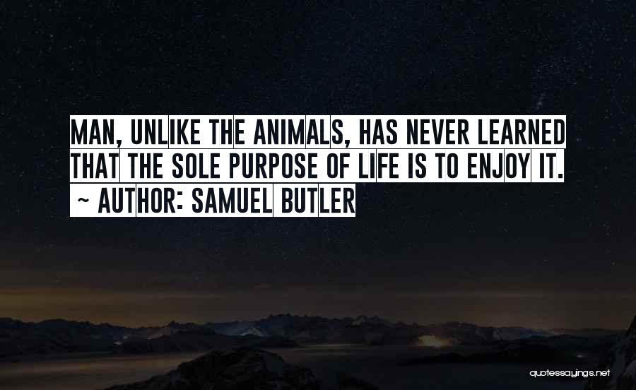 Samuel Butler Quotes: Man, Unlike The Animals, Has Never Learned That The Sole Purpose Of Life Is To Enjoy It.