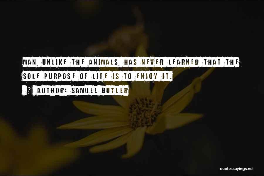 Samuel Butler Quotes: Man, Unlike The Animals, Has Never Learned That The Sole Purpose Of Life Is To Enjoy It.