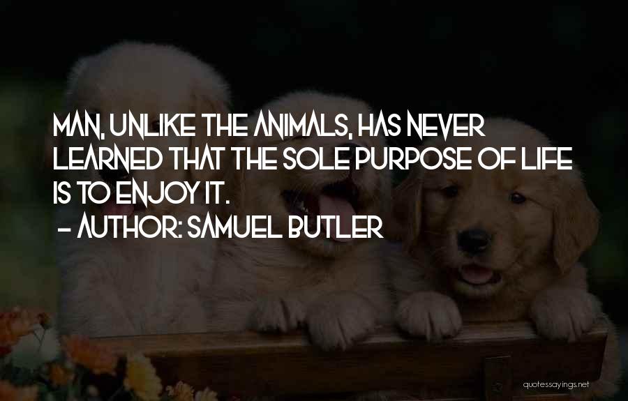 Samuel Butler Quotes: Man, Unlike The Animals, Has Never Learned That The Sole Purpose Of Life Is To Enjoy It.