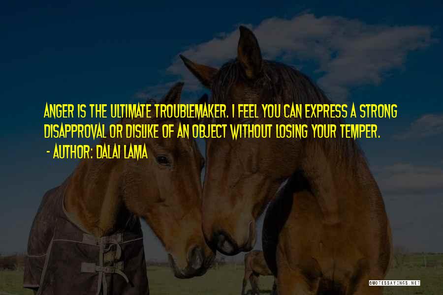 Dalai Lama Quotes: Anger Is The Ultimate Troublemaker. I Feel You Can Express A Strong Disapproval Or Dislike Of An Object Without Losing