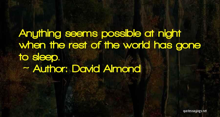 David Almond Quotes: Anything Seems Possible At Night When The Rest Of The World Has Gone To Sleep.