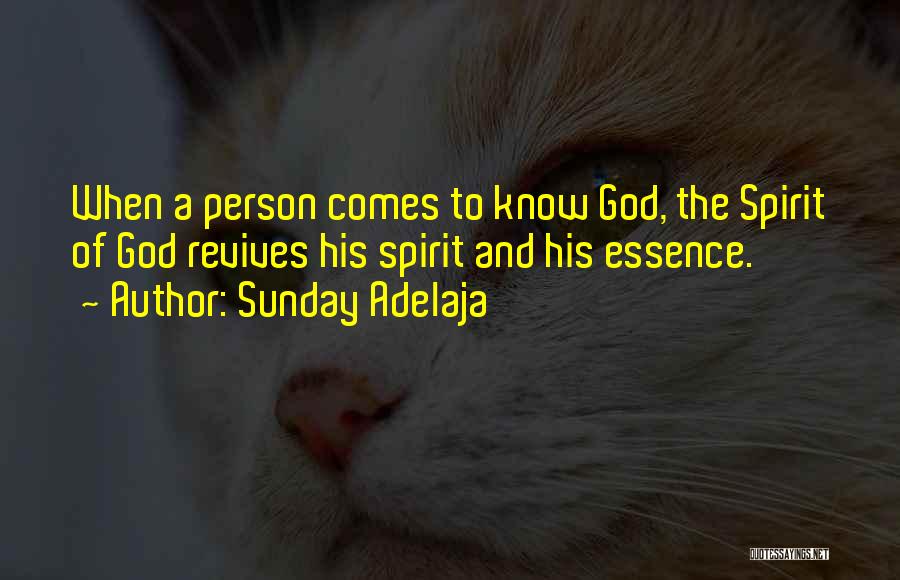 Sunday Adelaja Quotes: When A Person Comes To Know God, The Spirit Of God Revives His Spirit And His Essence.