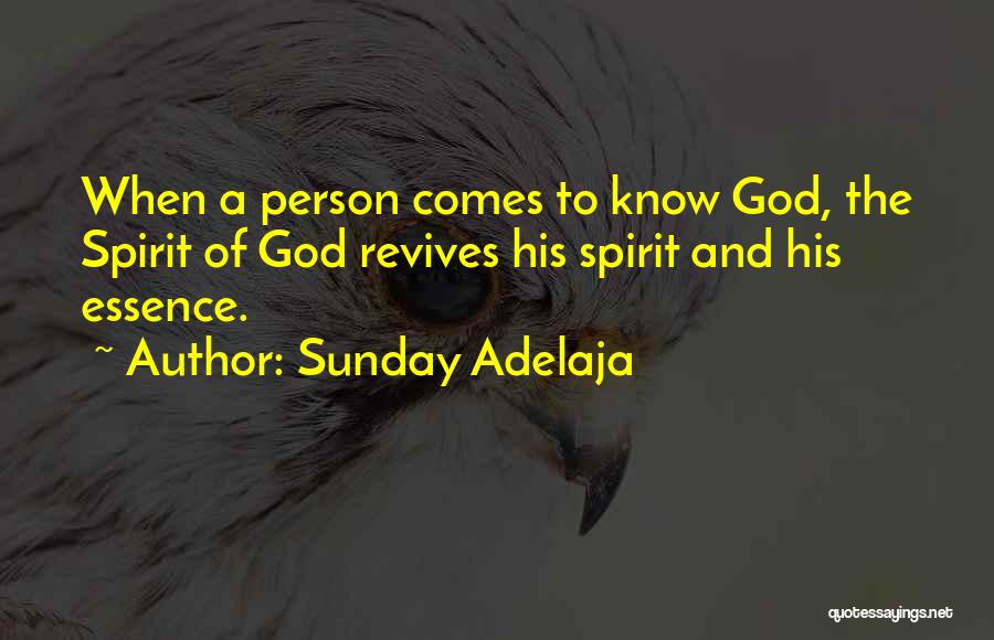 Sunday Adelaja Quotes: When A Person Comes To Know God, The Spirit Of God Revives His Spirit And His Essence.