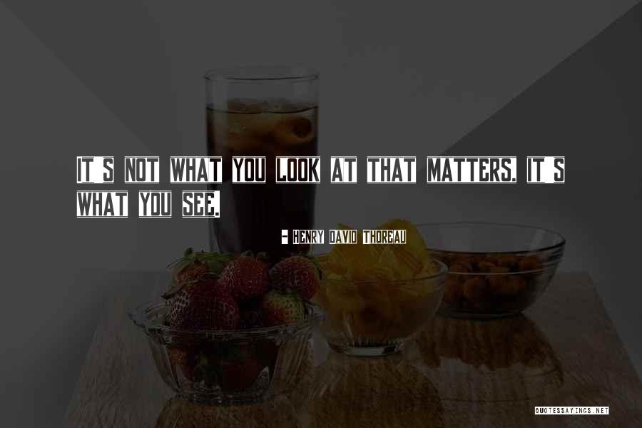 340s Barracuda Quotes By Henry David Thoreau 340s Barracuda Quotes By Henry David Thoreau