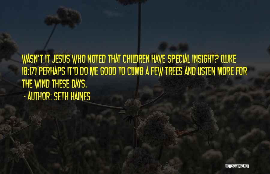 Seth Haines Quotes: Wasn't It Jesus Who Noted That Children Have Special Insight? (luke 18:17) Perhaps It'd Do Me Good To Climb A