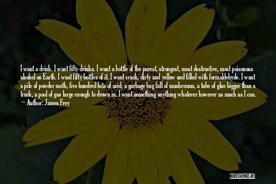 James Frey Quotes: I Want A Drink. I Want Fifty Drinks. I Want A Bottle Of The Purest, Strongest, Most Destructive, Most Poisonous