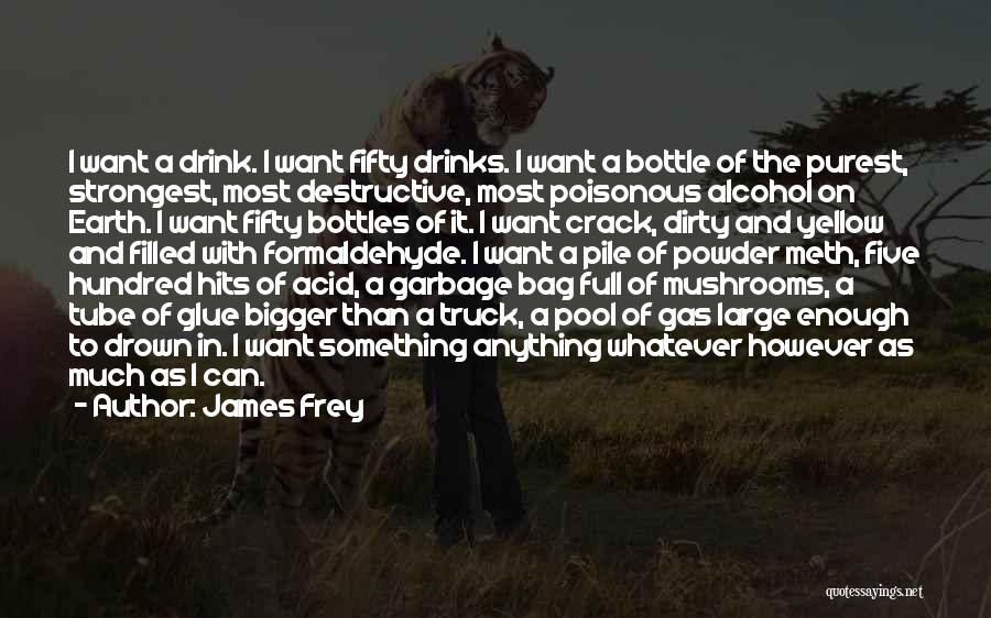 James Frey Quotes: I Want A Drink. I Want Fifty Drinks. I Want A Bottle Of The Purest, Strongest, Most Destructive, Most Poisonous