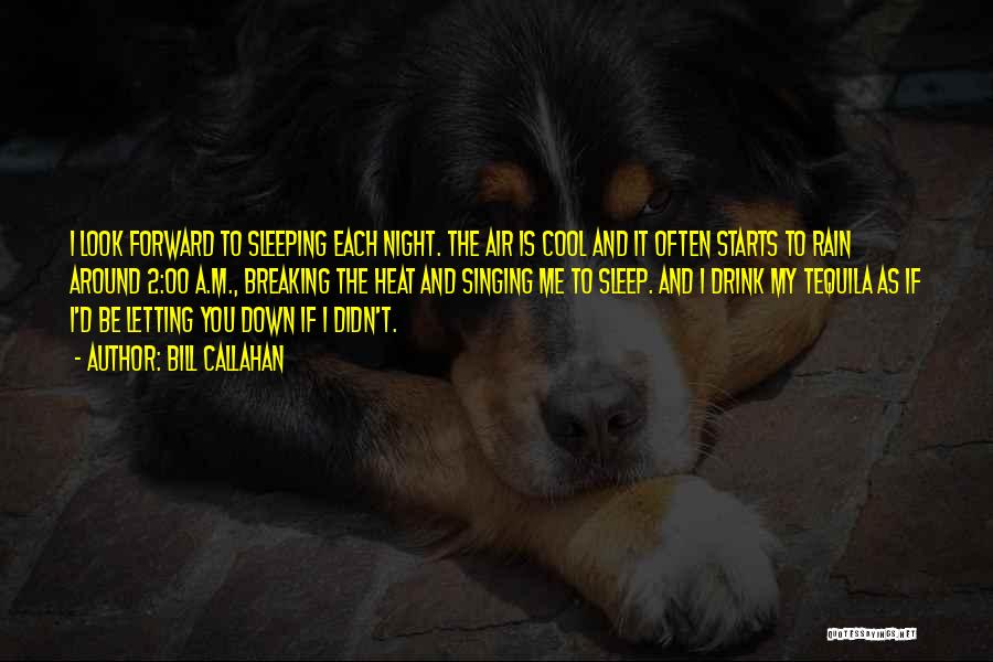 Bill Callahan Quotes: I Look Forward To Sleeping Each Night. The Air Is Cool And It Often Starts To Rain Around 2:00 A.m.,