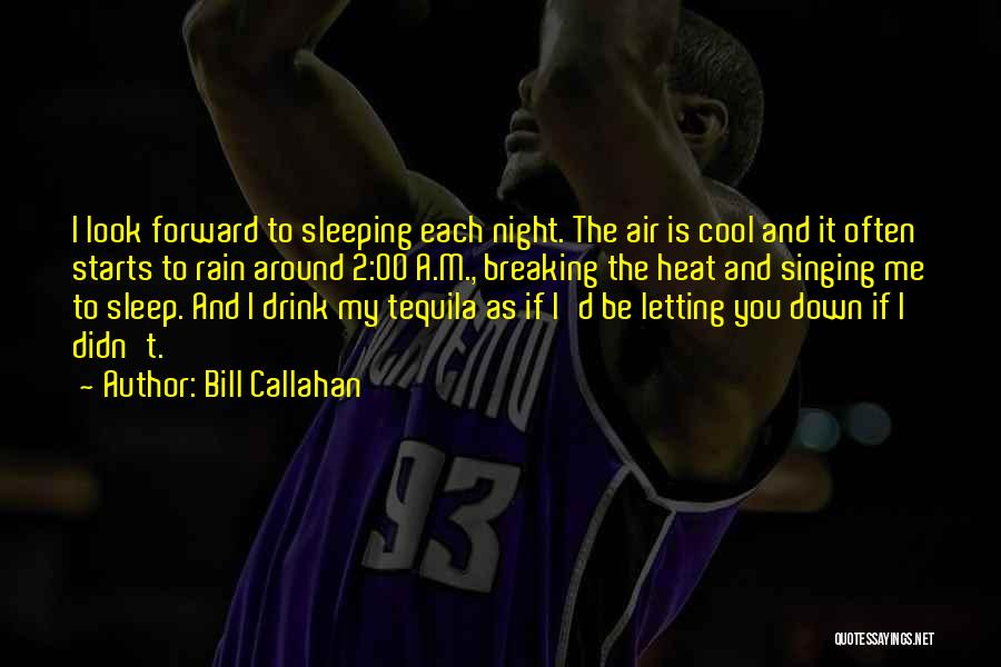 Bill Callahan Quotes: I Look Forward To Sleeping Each Night. The Air Is Cool And It Often Starts To Rain Around 2:00 A.m.,