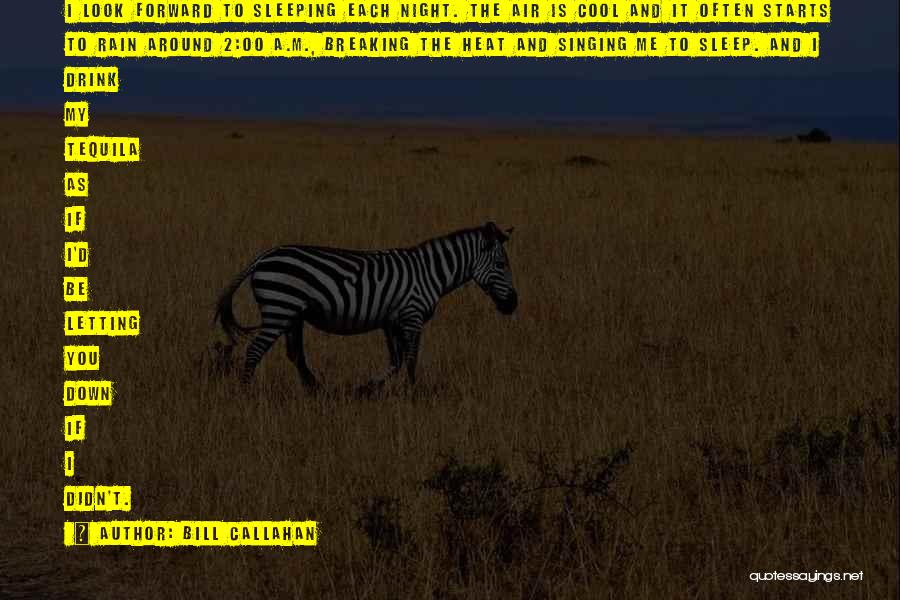 Bill Callahan Quotes: I Look Forward To Sleeping Each Night. The Air Is Cool And It Often Starts To Rain Around 2:00 A.m.,