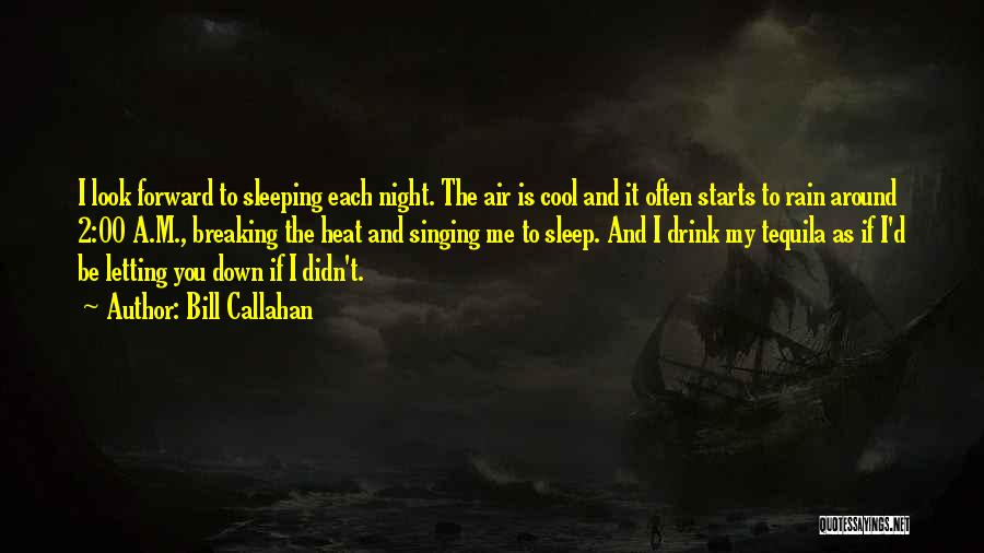 Bill Callahan Quotes: I Look Forward To Sleeping Each Night. The Air Is Cool And It Often Starts To Rain Around 2:00 A.m.,