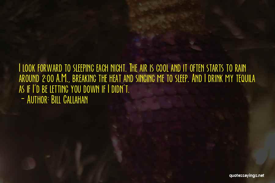 Bill Callahan Quotes: I Look Forward To Sleeping Each Night. The Air Is Cool And It Often Starts To Rain Around 2:00 A.m.,