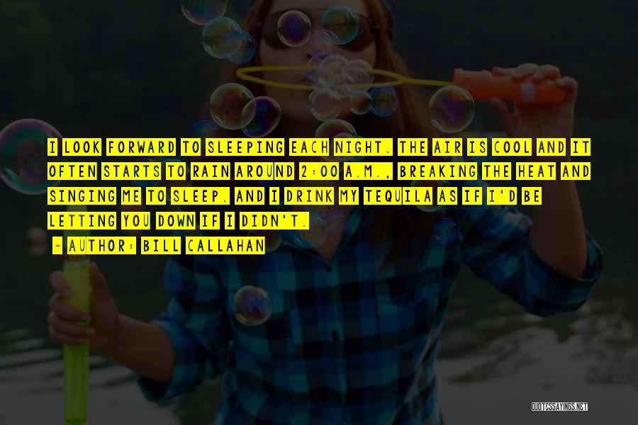Bill Callahan Quotes: I Look Forward To Sleeping Each Night. The Air Is Cool And It Often Starts To Rain Around 2:00 A.m.,