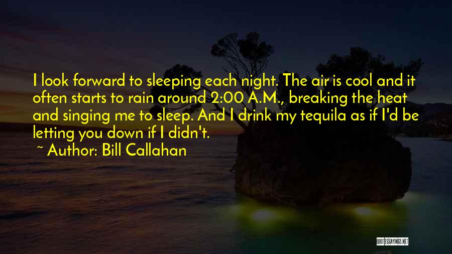 Bill Callahan Quotes: I Look Forward To Sleeping Each Night. The Air Is Cool And It Often Starts To Rain Around 2:00 A.m.,