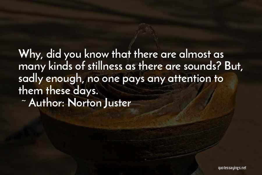 Norton Juster Quotes: Why, Did You Know That There Are Almost As Many Kinds Of Stillness As There Are Sounds? But, Sadly Enough,