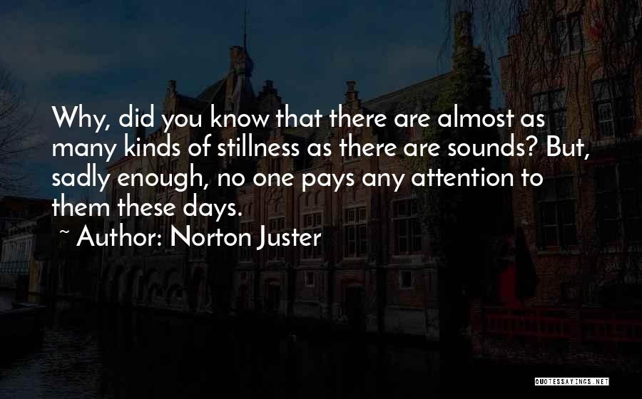 Norton Juster Quotes: Why, Did You Know That There Are Almost As Many Kinds Of Stillness As There Are Sounds? But, Sadly Enough,