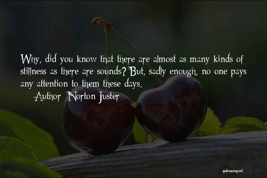 Norton Juster Quotes: Why, Did You Know That There Are Almost As Many Kinds Of Stillness As There Are Sounds? But, Sadly Enough,