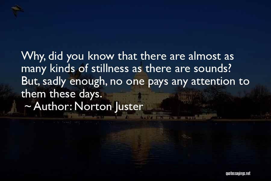 Norton Juster Quotes: Why, Did You Know That There Are Almost As Many Kinds Of Stillness As There Are Sounds? But, Sadly Enough,