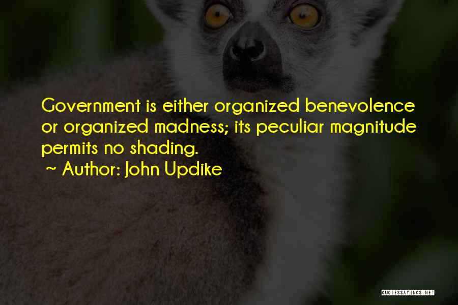 John Updike Quotes: Government Is Either Organized Benevolence Or Organized Madness; Its Peculiar Magnitude Permits No Shading.