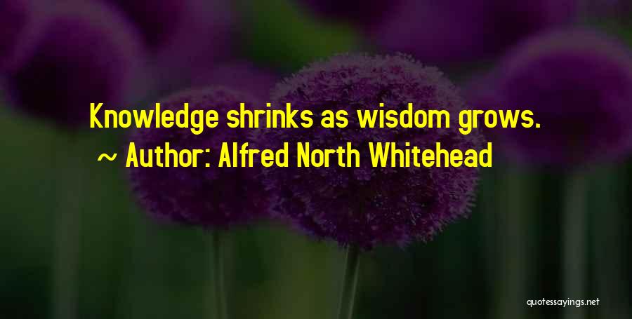 Alfred North Whitehead Quotes: Knowledge Shrinks As Wisdom Grows.