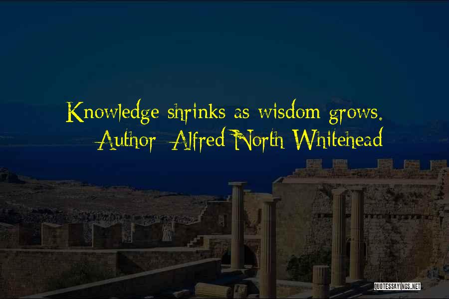 Alfred North Whitehead Quotes: Knowledge Shrinks As Wisdom Grows.