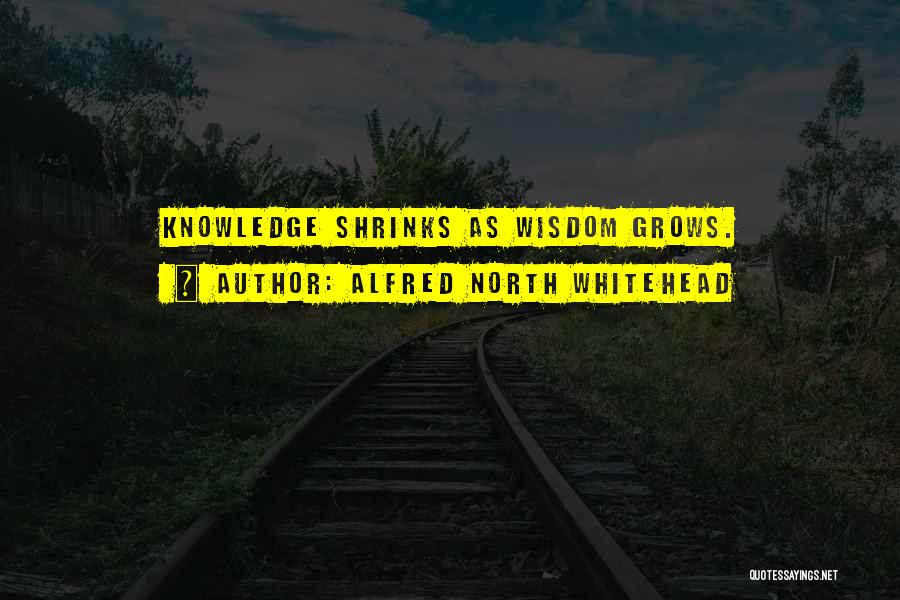 Alfred North Whitehead Quotes: Knowledge Shrinks As Wisdom Grows.