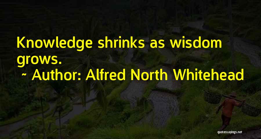 Alfred North Whitehead Quotes: Knowledge Shrinks As Wisdom Grows.