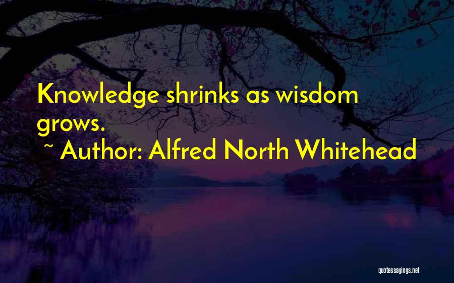 Alfred North Whitehead Quotes: Knowledge Shrinks As Wisdom Grows.