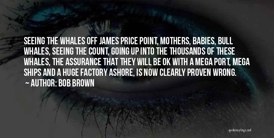 Bob Brown Quotes: Seeing The Whales Off James Price Point, Mothers, Babies, Bull Whales, Seeing The Count, Going Up Into The Thousands Of