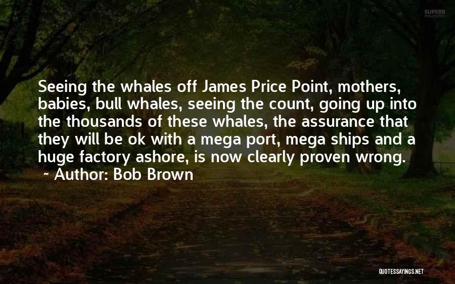 Bob Brown Quotes: Seeing The Whales Off James Price Point, Mothers, Babies, Bull Whales, Seeing The Count, Going Up Into The Thousands Of