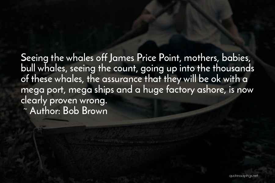 Bob Brown Quotes: Seeing The Whales Off James Price Point, Mothers, Babies, Bull Whales, Seeing The Count, Going Up Into The Thousands Of