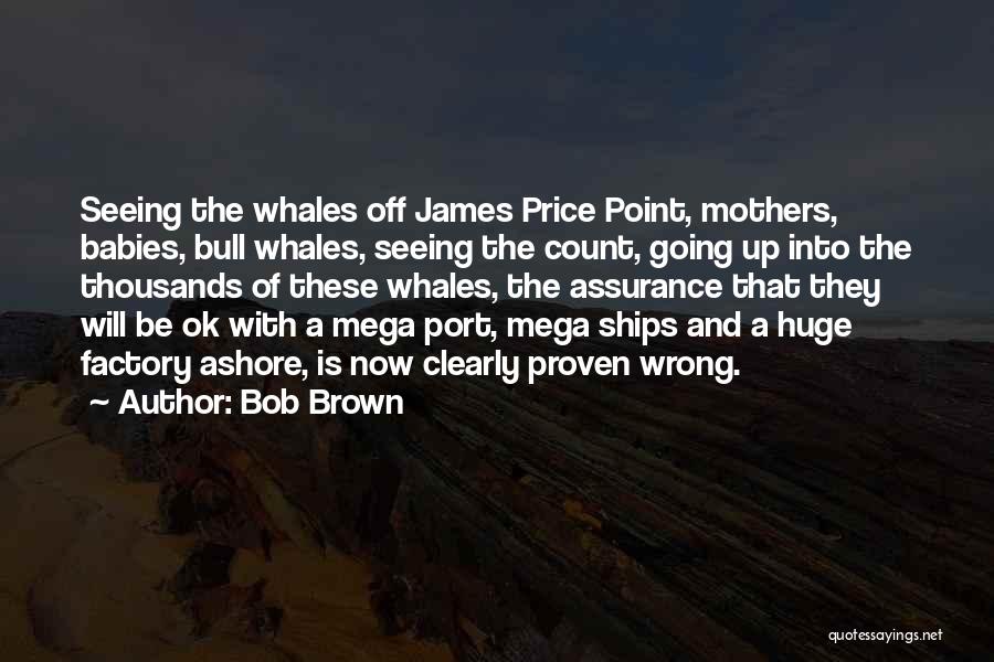 Bob Brown Quotes: Seeing The Whales Off James Price Point, Mothers, Babies, Bull Whales, Seeing The Count, Going Up Into The Thousands Of