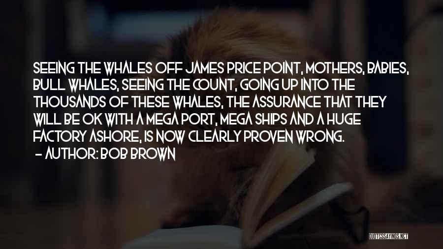 Bob Brown Quotes: Seeing The Whales Off James Price Point, Mothers, Babies, Bull Whales, Seeing The Count, Going Up Into The Thousands Of