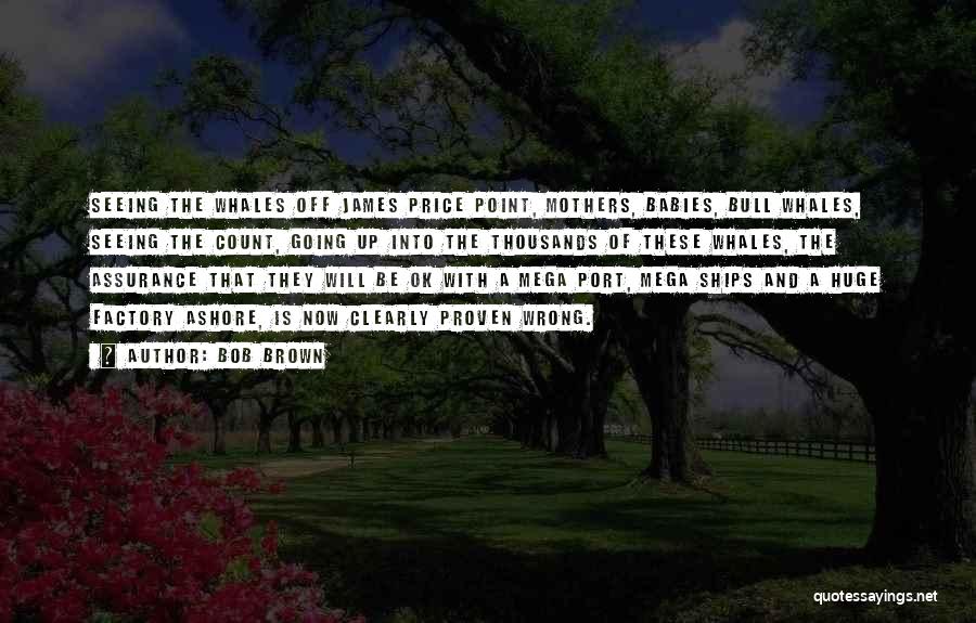 Bob Brown Quotes: Seeing The Whales Off James Price Point, Mothers, Babies, Bull Whales, Seeing The Count, Going Up Into The Thousands Of