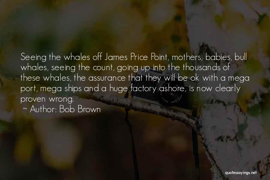 Bob Brown Quotes: Seeing The Whales Off James Price Point, Mothers, Babies, Bull Whales, Seeing The Count, Going Up Into The Thousands Of