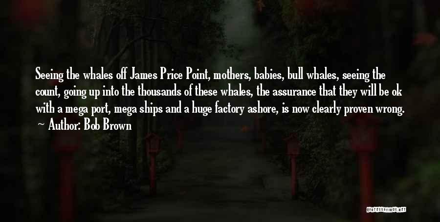 Bob Brown Quotes: Seeing The Whales Off James Price Point, Mothers, Babies, Bull Whales, Seeing The Count, Going Up Into The Thousands Of