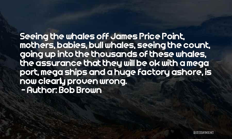 Bob Brown Quotes: Seeing The Whales Off James Price Point, Mothers, Babies, Bull Whales, Seeing The Count, Going Up Into The Thousands Of