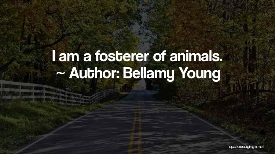 Bellamy Young Quotes: I Am A Fosterer Of Animals.