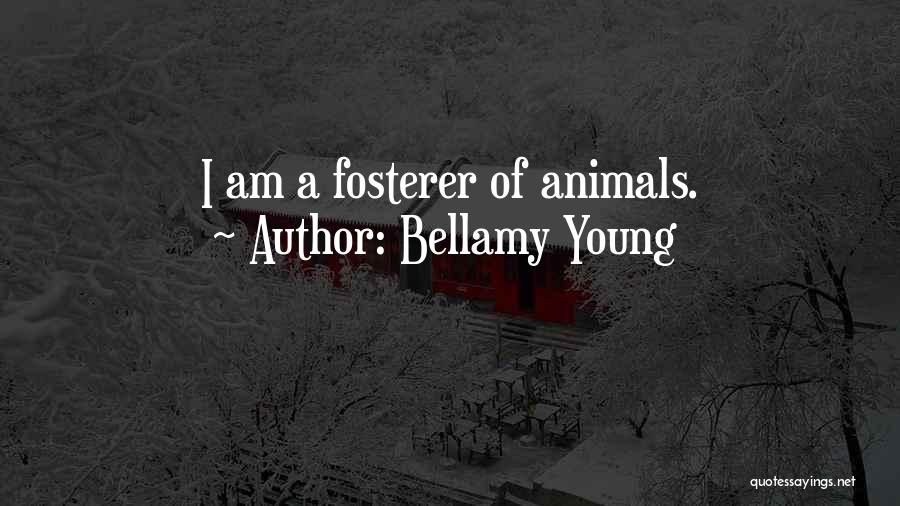 Bellamy Young Quotes: I Am A Fosterer Of Animals.