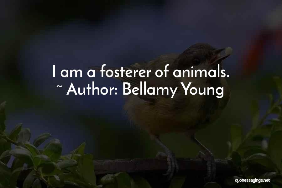 Bellamy Young Quotes: I Am A Fosterer Of Animals.