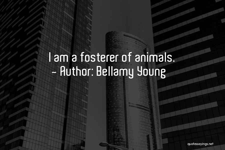 Bellamy Young Quotes: I Am A Fosterer Of Animals.