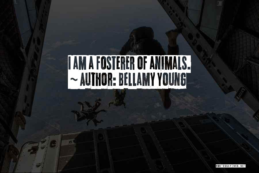 Bellamy Young Quotes: I Am A Fosterer Of Animals.